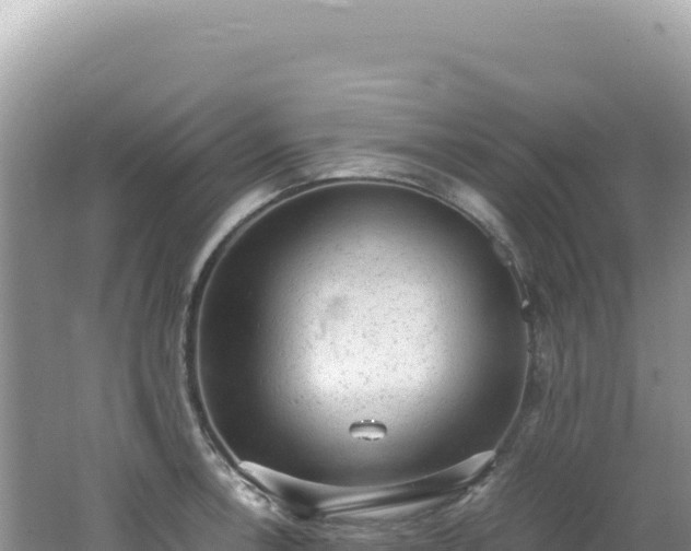 X0000062151138200512121301