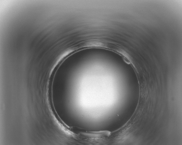 X0000062151139200512121301