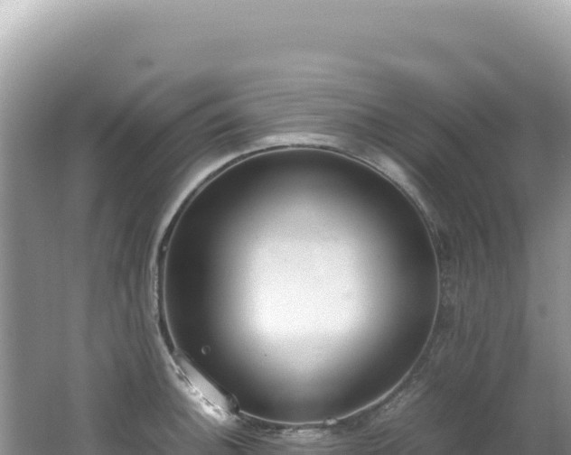 X0000062151140200512121301