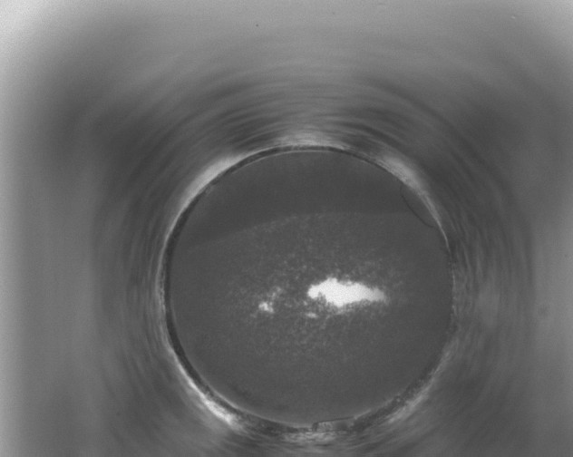 X0000062151141200512121301