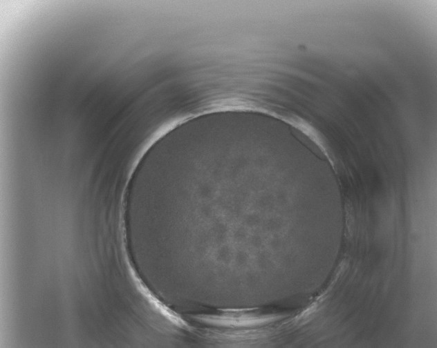 X0000062151142200512121301