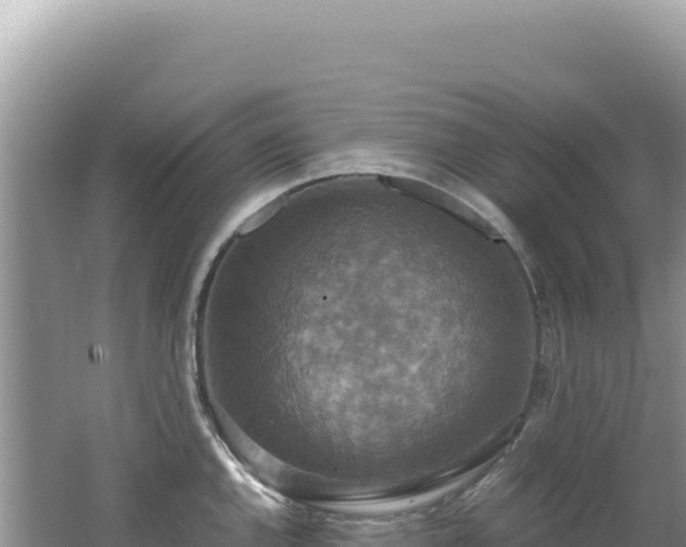 X0000062151144200512121301