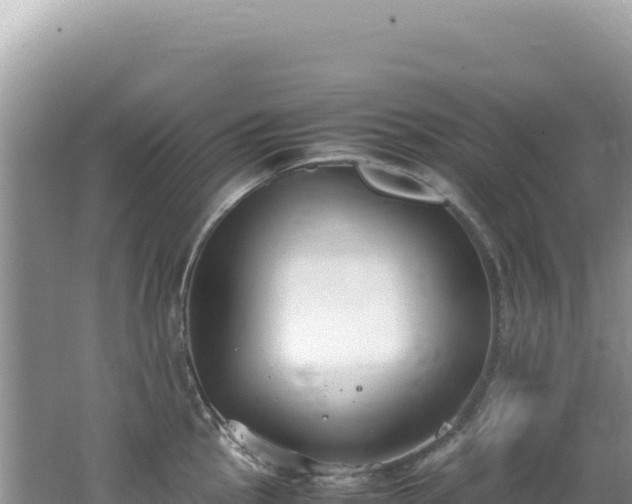 X0000062151145200512121301