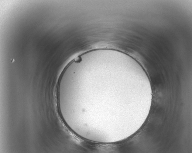 X0000062151150200512121301