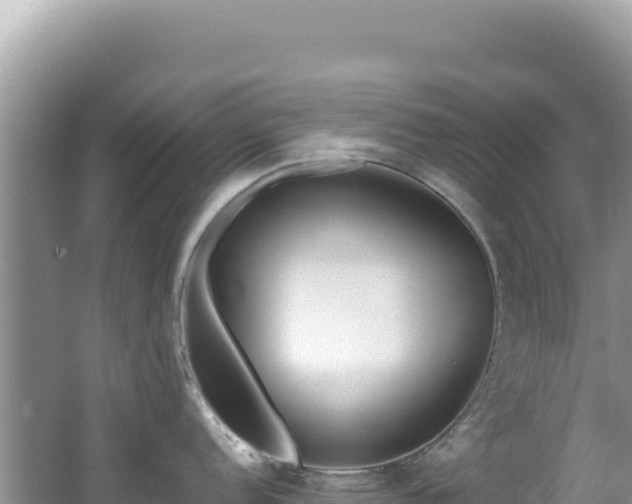 X0000062151152200512121301