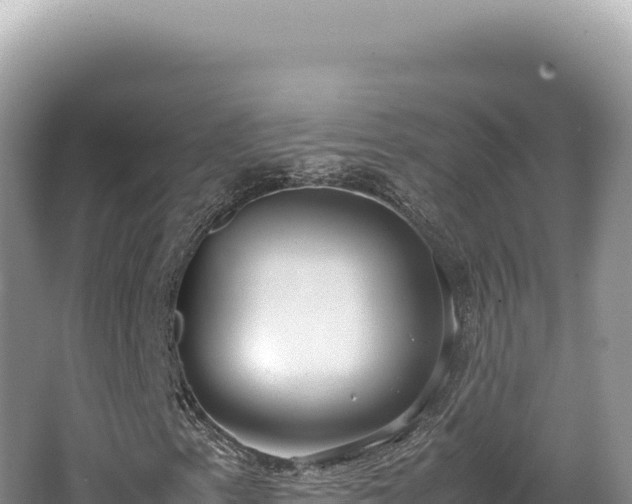 X0000062151153200512121300