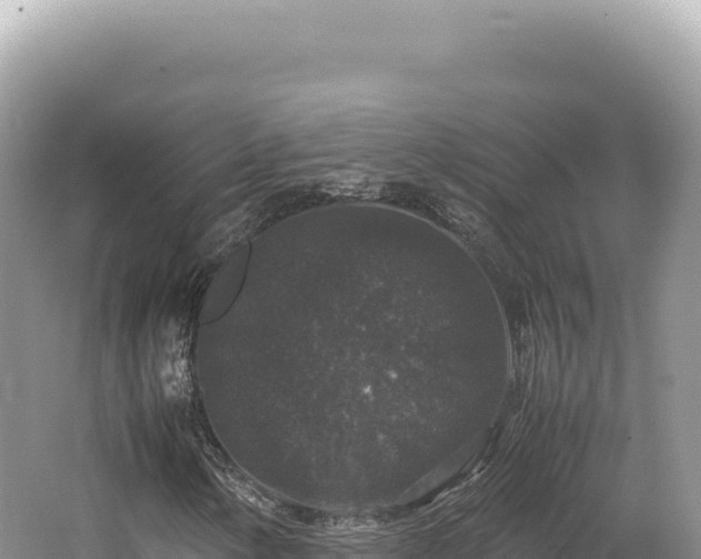 X0000062151154200512121300