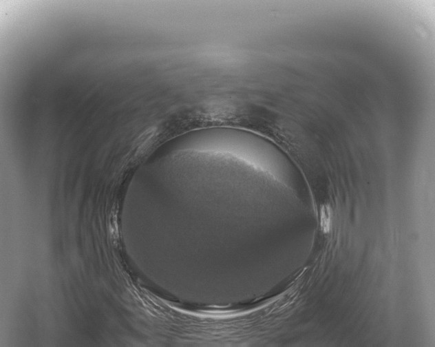 X0000062151155200512121300