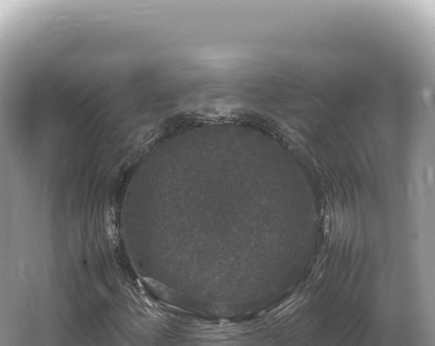 X0000062151156200512121300