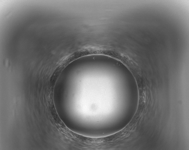 X0000062151157200512121300