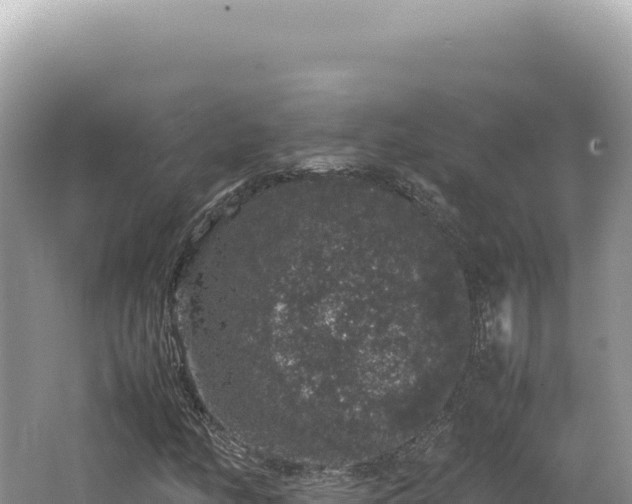 X0000062151158200512121300