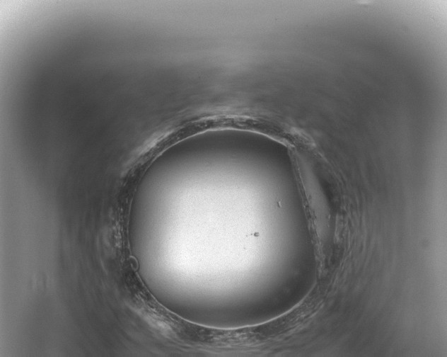 X0000062151159200512121300