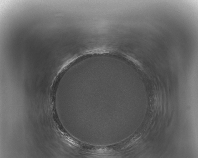 X0000062151160200512121300