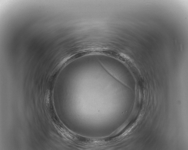 X0000062151161200512121300