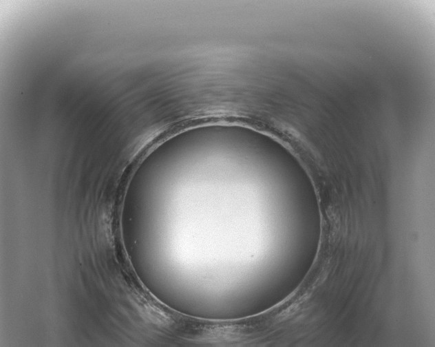 X0000062151162200512121300