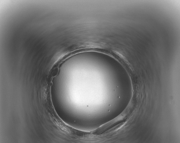 X0000062151163200512121300