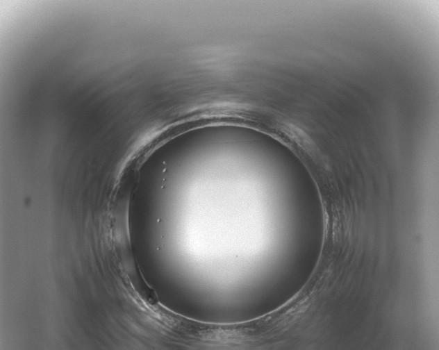 X0000062151164200512121300