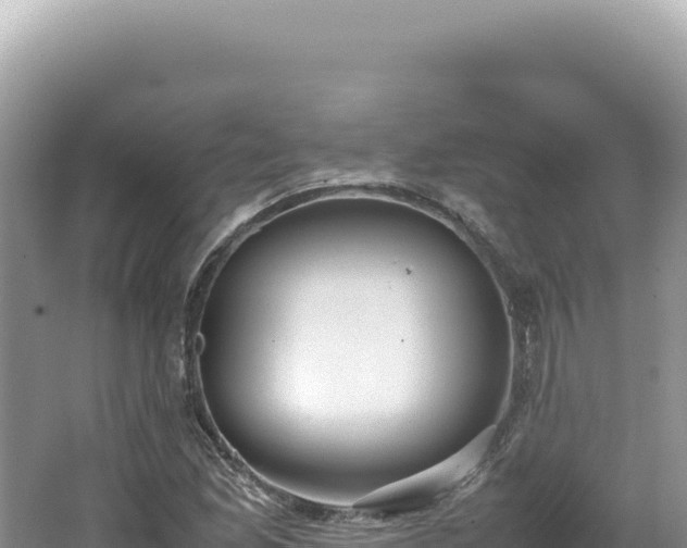 X0000062151165200512121300