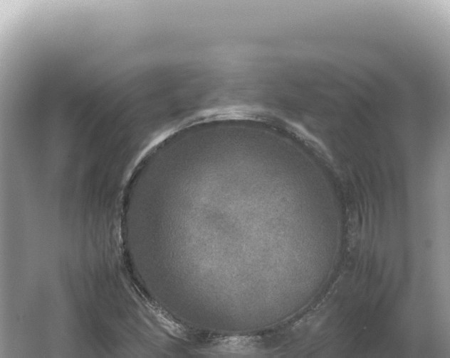 X0000062151166200512121300