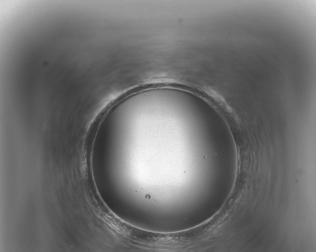 X0000062151167200512121300