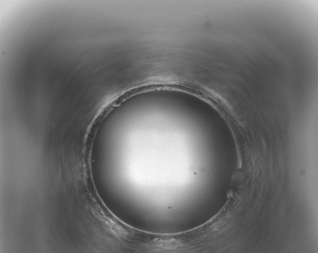 X0000062151168200512121300