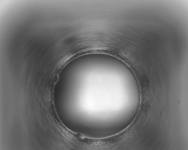 X0000062151169200512121300