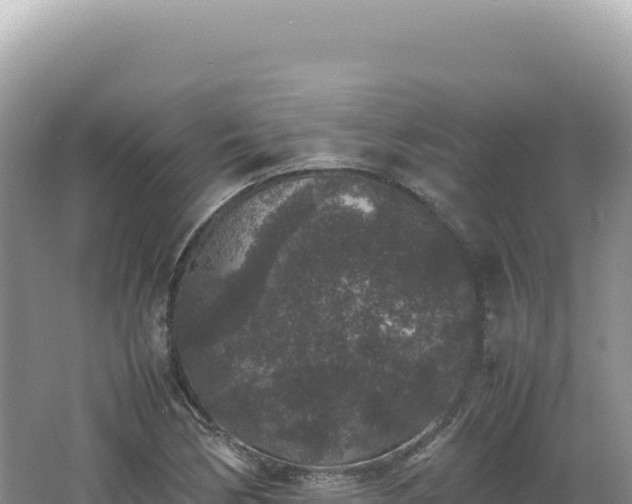 X0000062151170200512121300