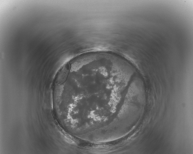 X0000062151171200512121300