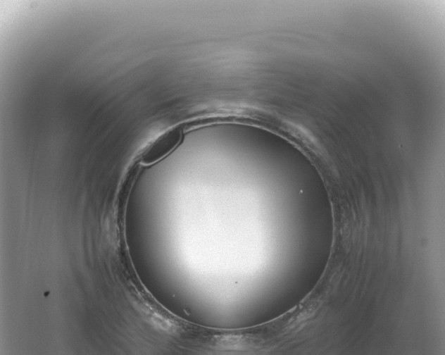 X0000062151172200512121300