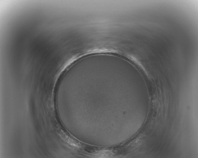 X0000062151173200512121300