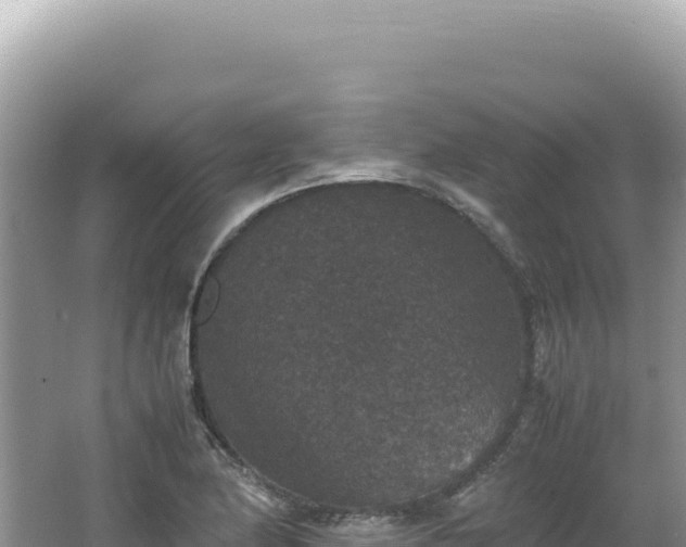 X0000062151174200512121300