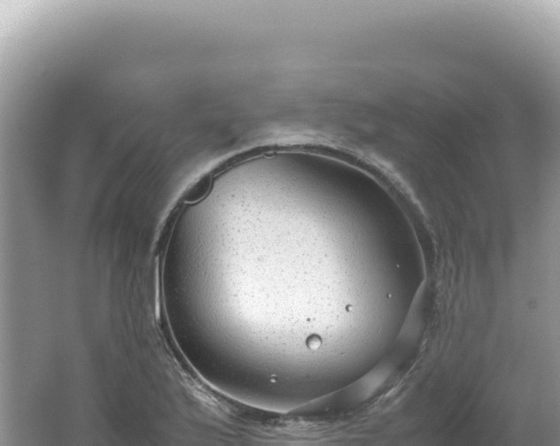 X0000062151175200512121300