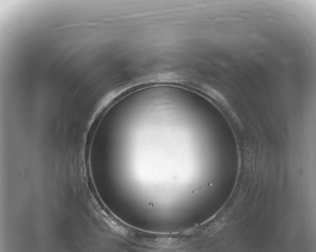 X0000062151176200512121300