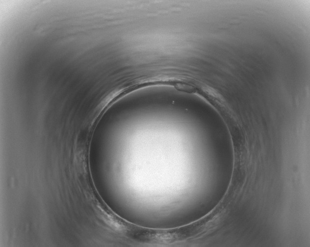 X0000062151177200512121300