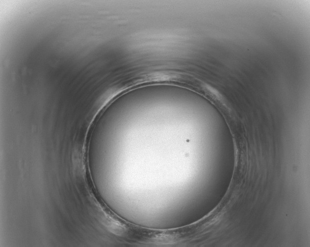 X0000062151178200512121300