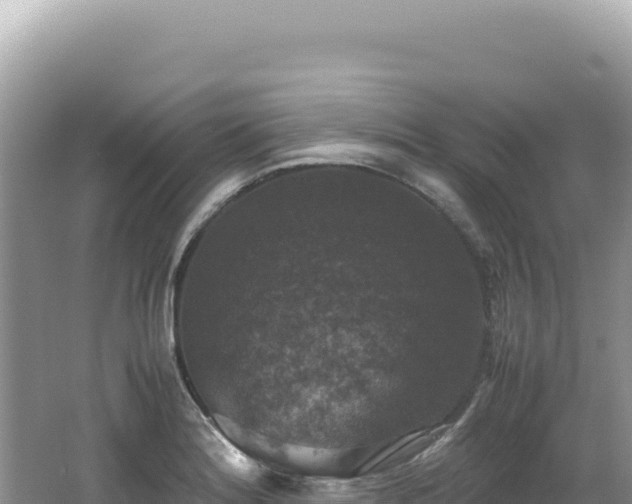 X0000062151180200512121259