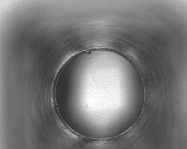 X0000062151182200512121259