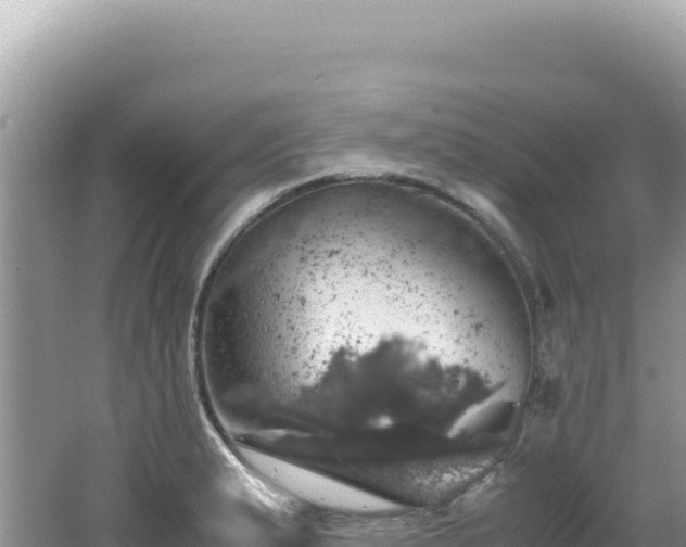 X0000062151183200512121259