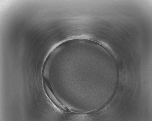 X0000062151184200512121259