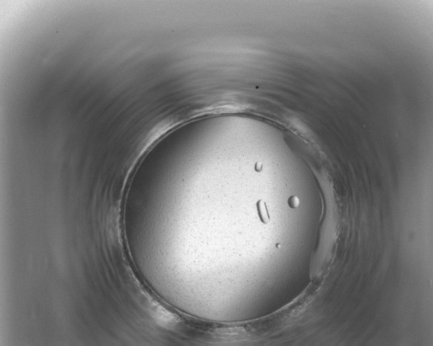 X0000062151186200512121259