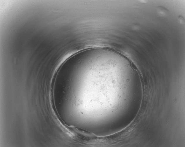 X0000062151187200512121259