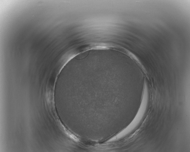 X0000062151194200512121259