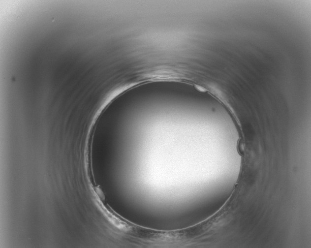 X0000062151195200512121259