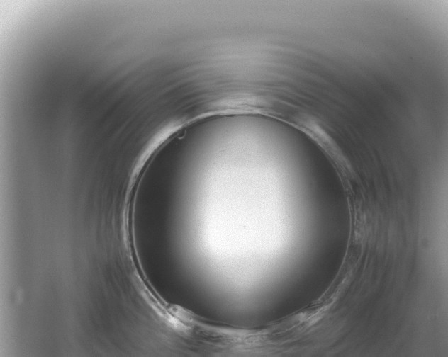 X0000062151196200512121259