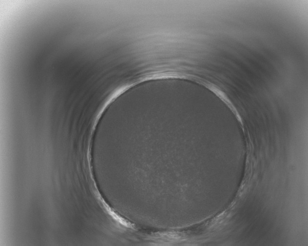 X0000062151197200512121259