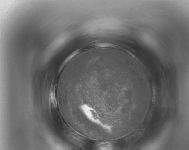 X0000062151198200512121259