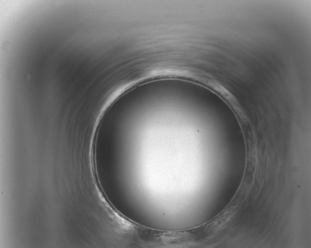 X0000062151199200512121259