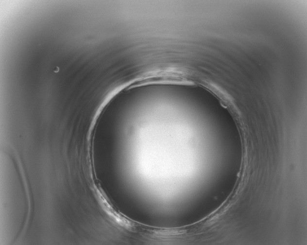 X0000062151200200512121259