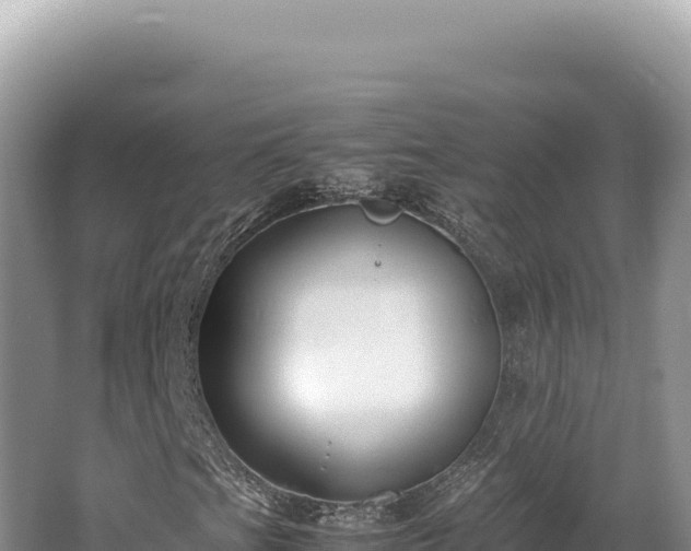 X0000062151201200512121258