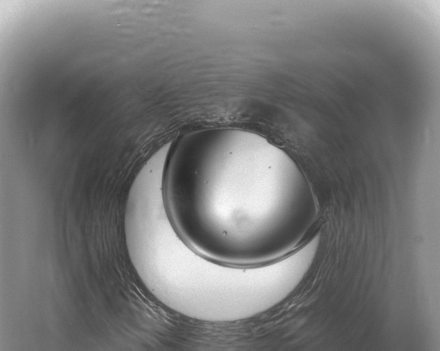 X0000062151202200512121258